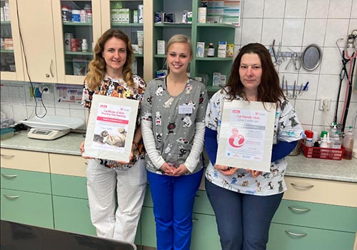Cat Friendly Clinic