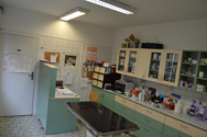 Ordinace